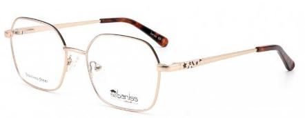 Baniss 1001 С3 Baniss 1001 С3